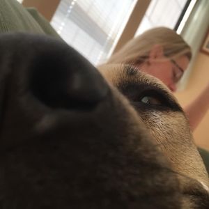 Meet your Posher, Dakota